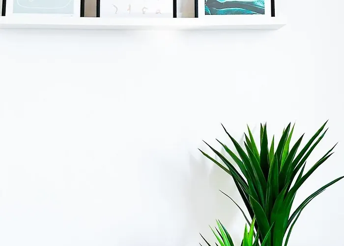 Adua1 * 스트레사